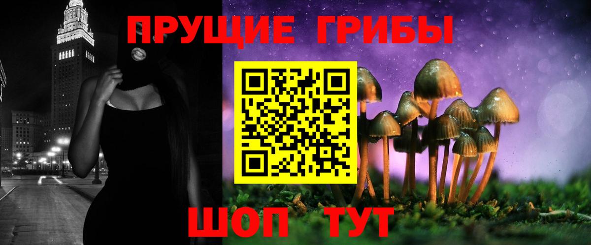 Псилоцибиновые грибы Psilocybe  Вход с VPN  Тобольск 